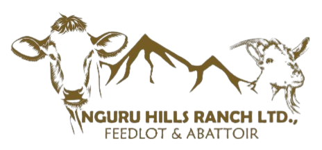 Nguru Hills Logo